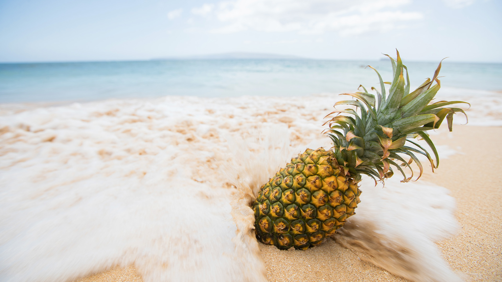 A Tax in a Pineapple Under the Sea