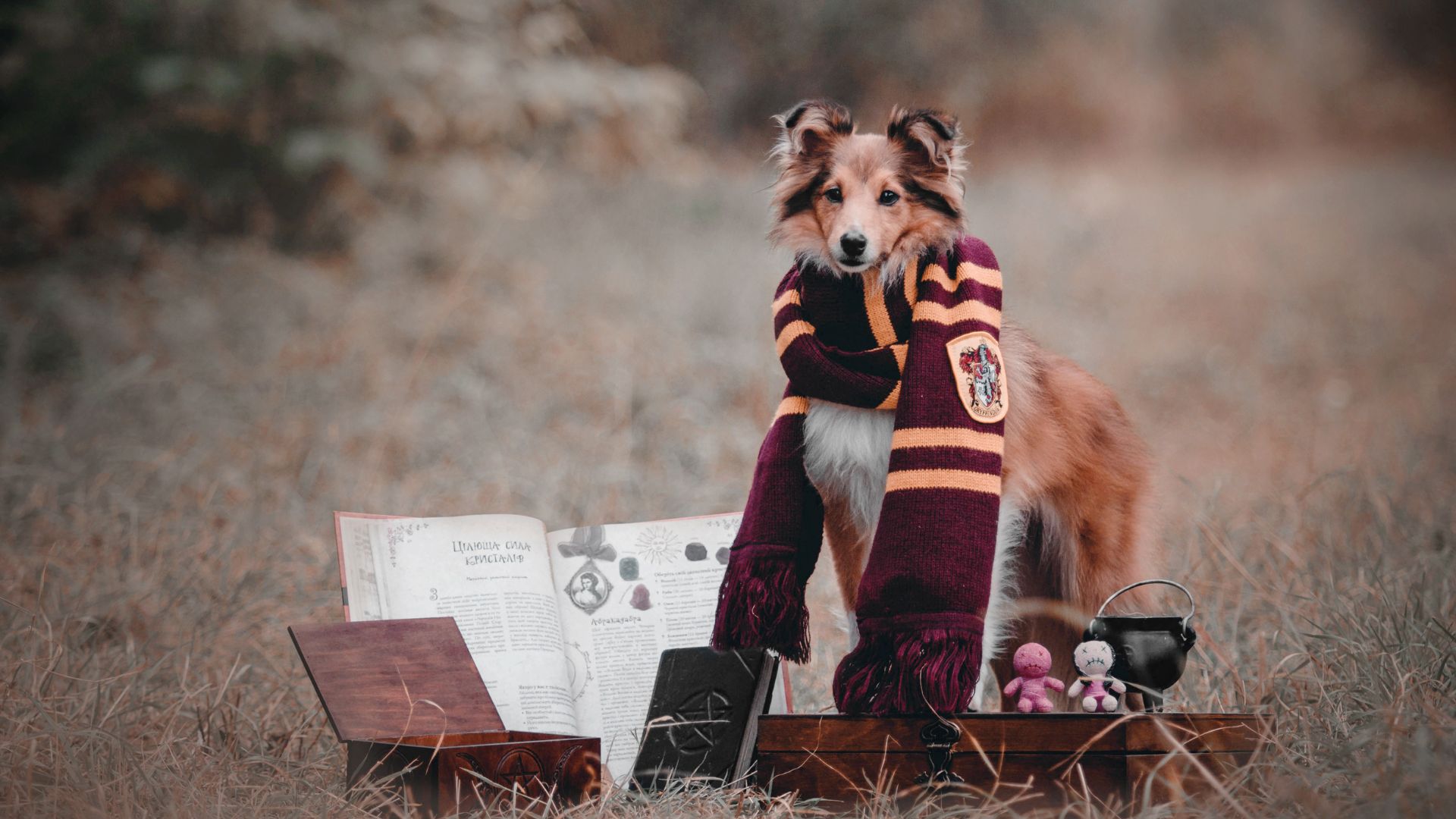 Harry Potter and the Deathly Tax Bill