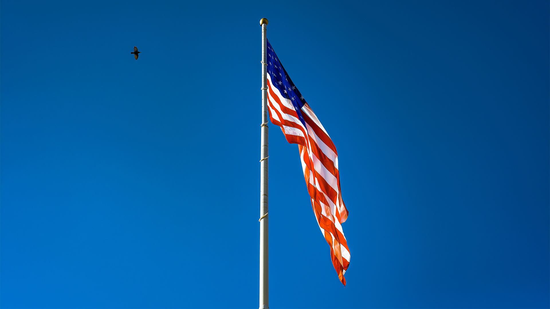 Lake Wylie Professional Suites installs New Flag Pole