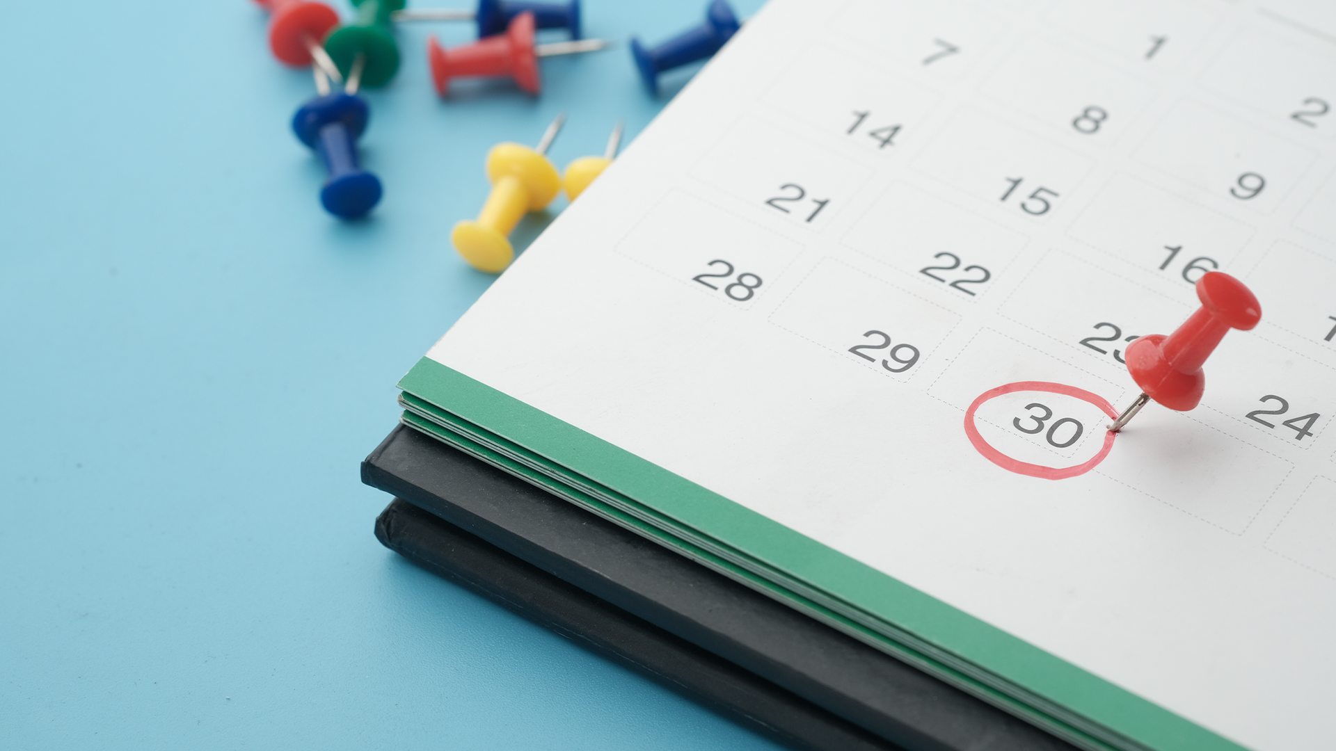 Mecklenburg County Privilege/Business Licenses are due June 30