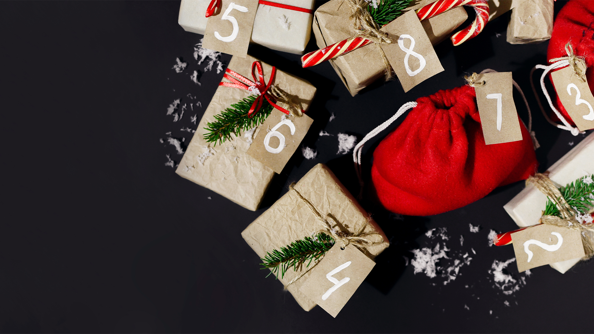 Our Twelve Days of Christmas