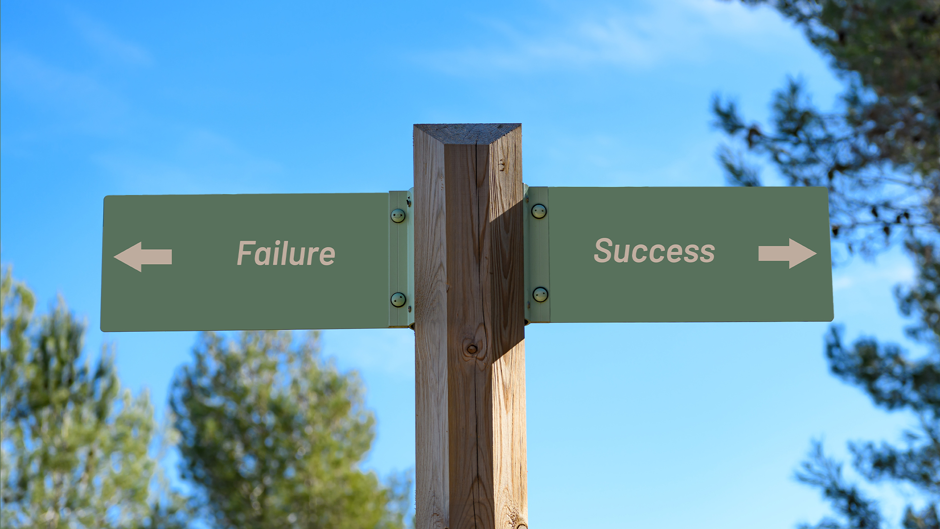 The Path to Success is About Choices