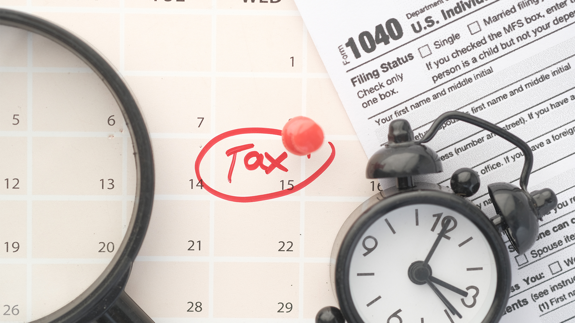 Velvet Teddy Bear Fails to Pay Taxes